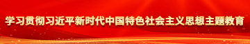 男女爆操网站学习贯彻习近平新时代中国特色社会主义思想主题教育